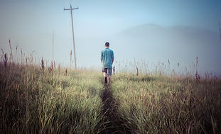 Country Walk