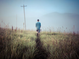 Savouring Walk