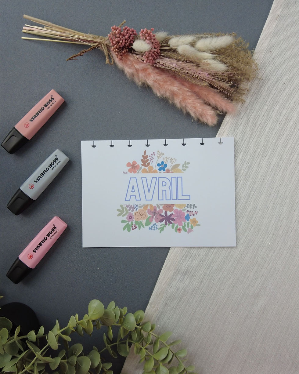 Miniature : carnet lecture rechargeable intercalaires mois avril