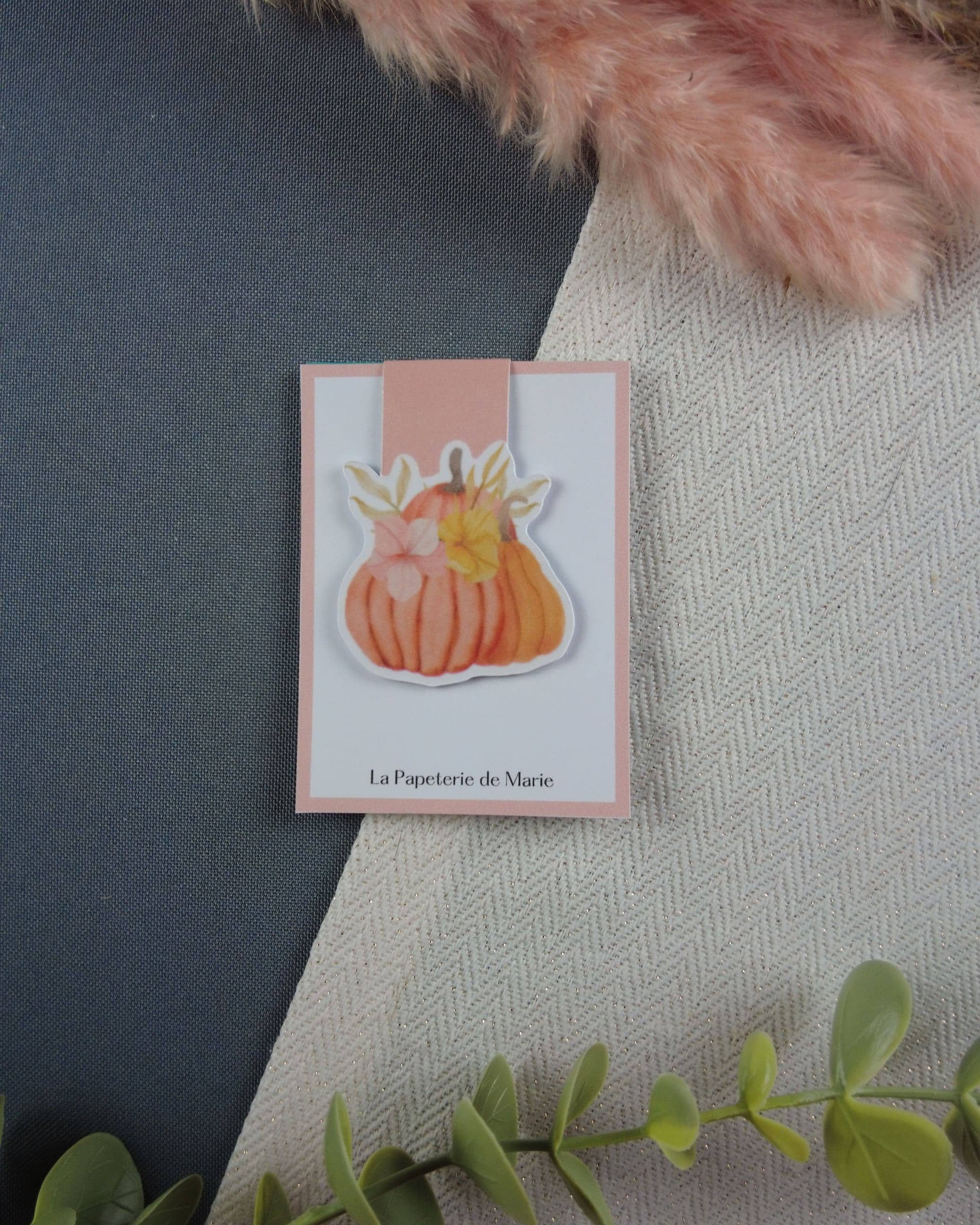 marque page aimanté livres trio citrouille