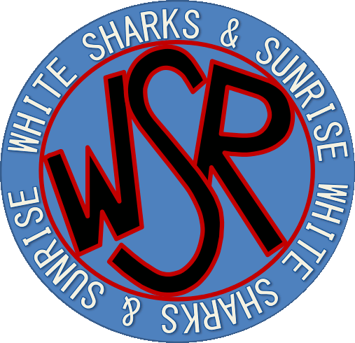 ソフトボール Wsr Singapore Softball Club シンガポール 小学生