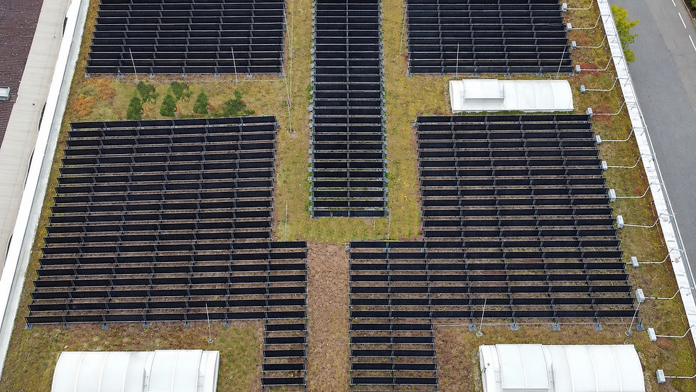 Vertikale PV Baumarkt.jpg