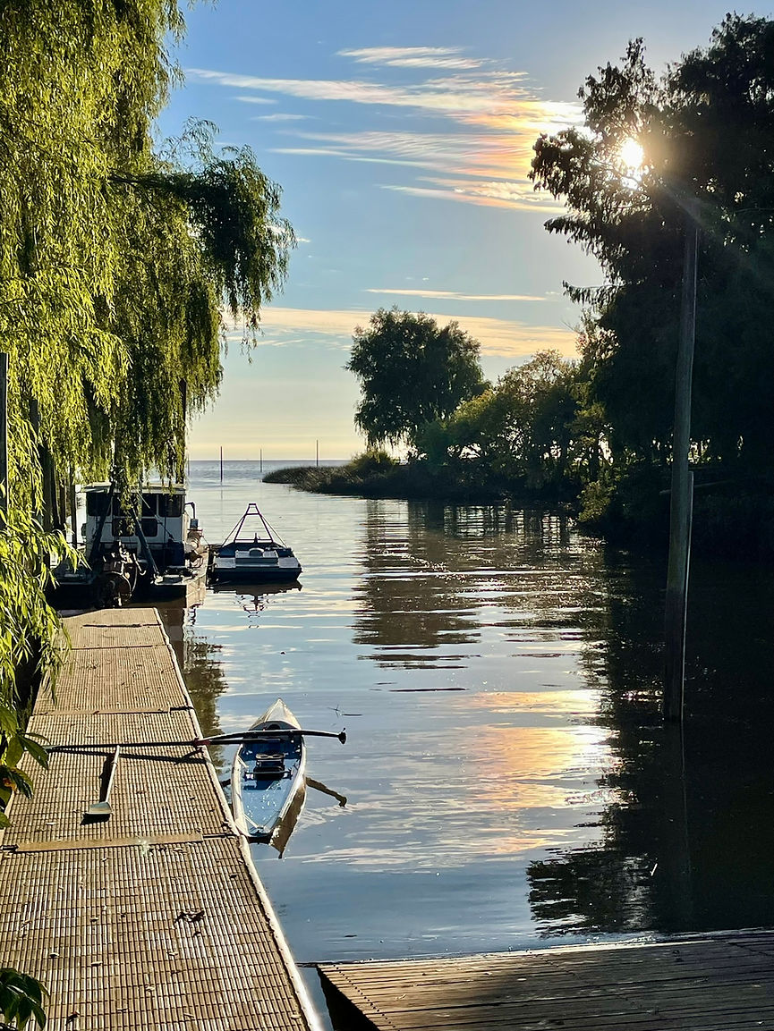 Remo en el río de la plata