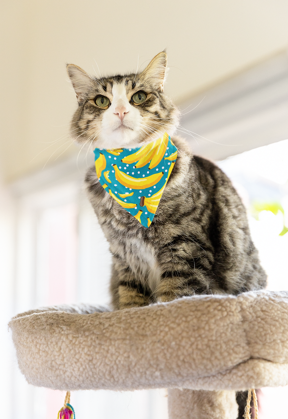 Miniature : Foulard Banane