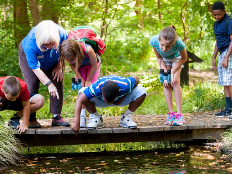 大自然教育的多元面向與地球GoGOGo的創新實踐