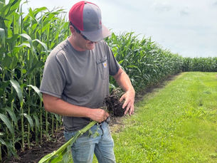 Maximum Farming System Associate Dalton Owens conducting a field check on corn
