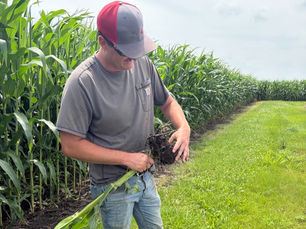 Maximum Farming System Associate Dalton Owens conducting a field check on corn