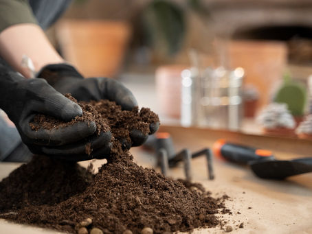 Advantages of Bacillus Mucilaginosus Fertilizer