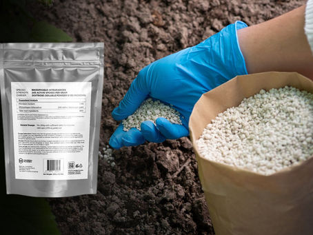 Bacillus Mucilaginosus for Crops & Soil