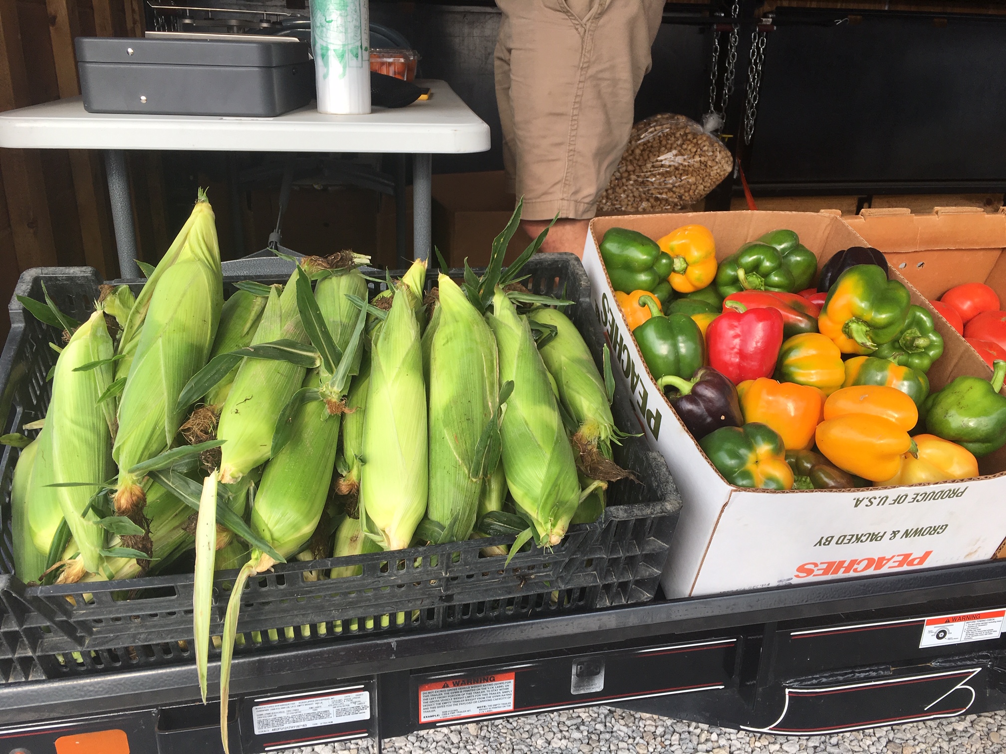 Corn and peppers 2018