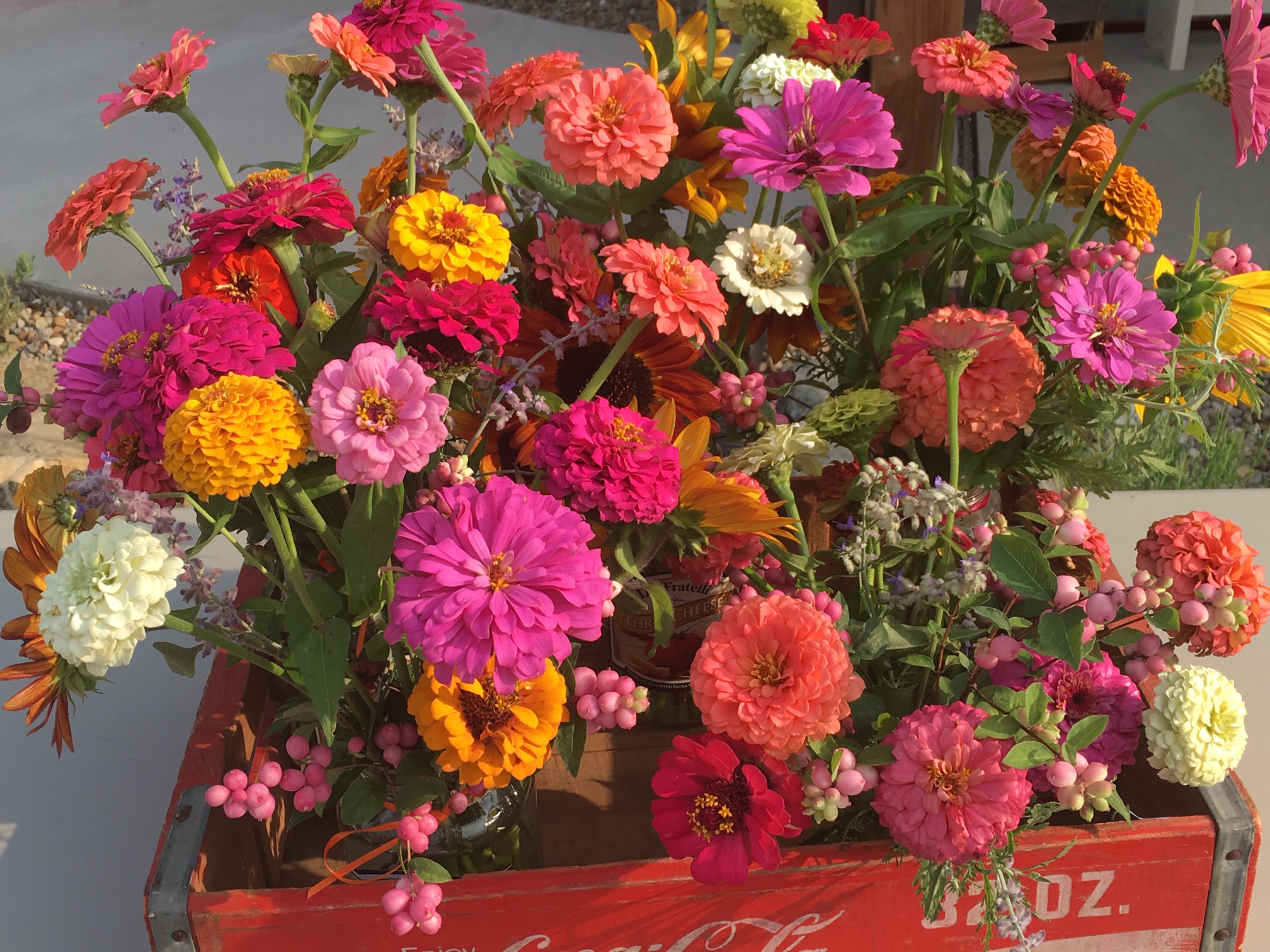 Flowers - zinnias 2018