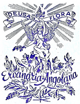 Ervanaria Angolana