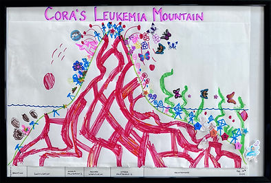 Cora Mountain_edited.jpg