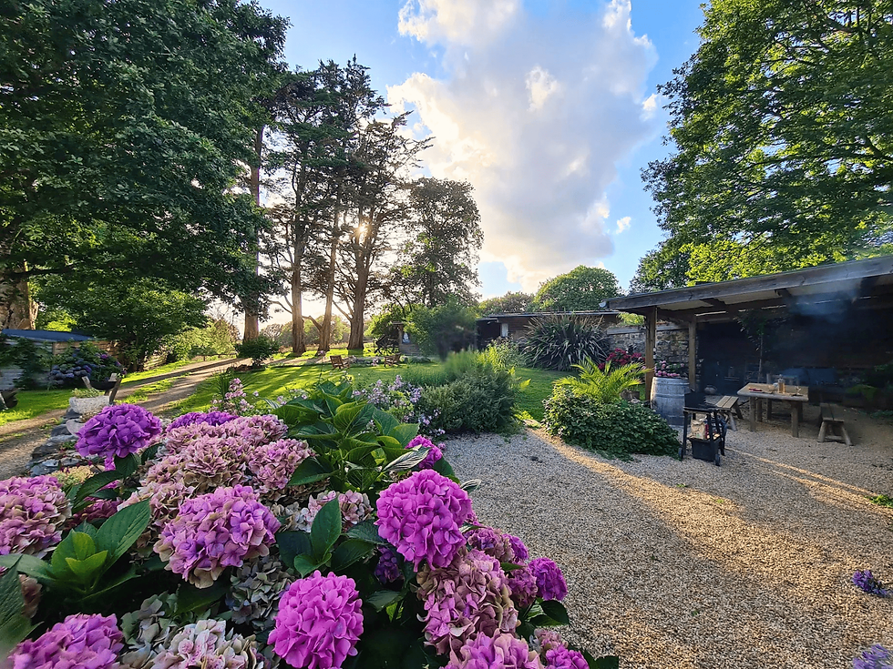 vue sur le jardin