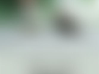 The Power of a Step: Embracing the Value of Movement