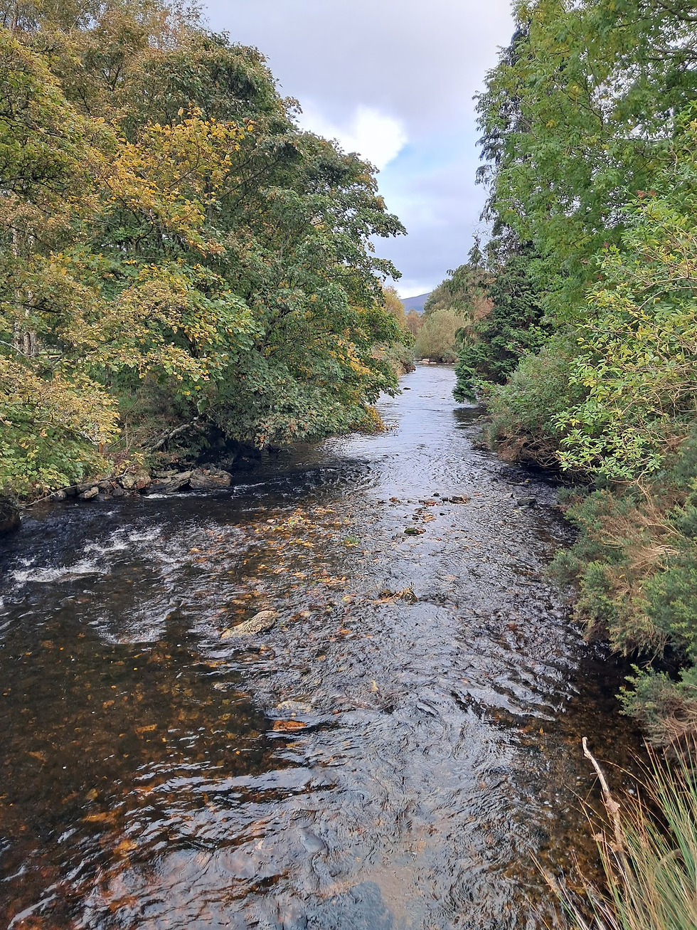 Paisagem sonora/Soundscape