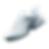 PLANET SHOE.png