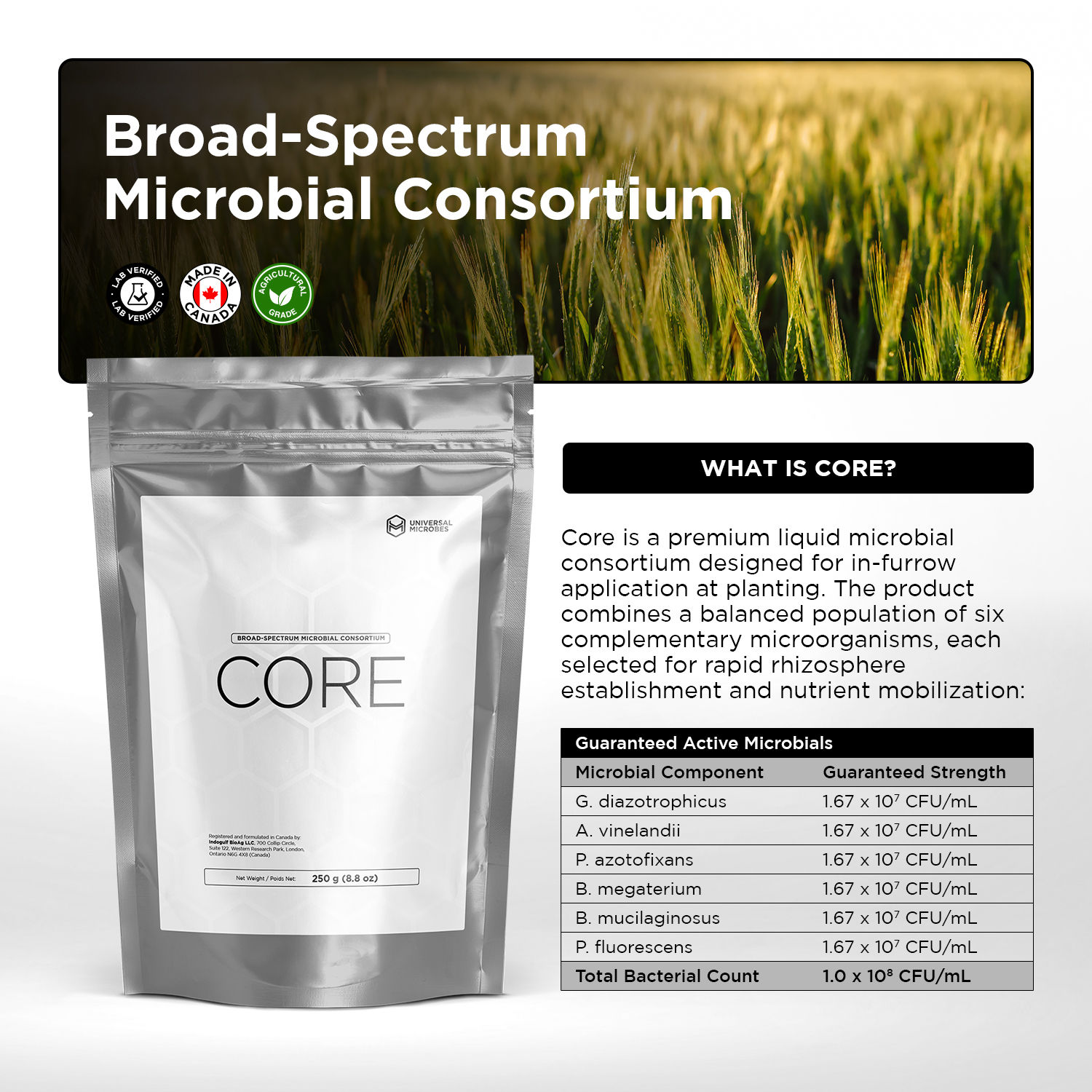 CORE – microbial biofertilizer for root development and nutrient efficiency