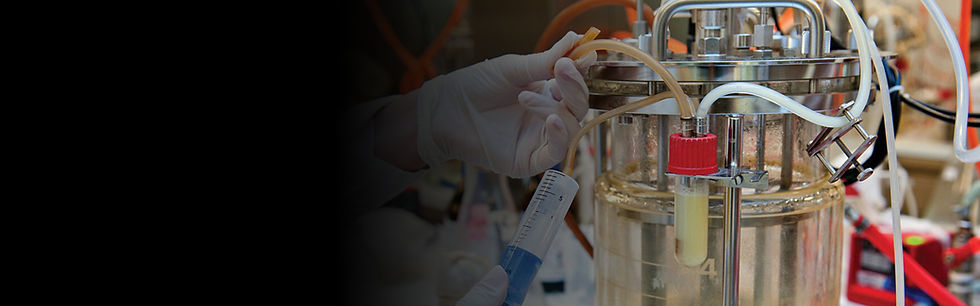 igba header_cdmo.jpg