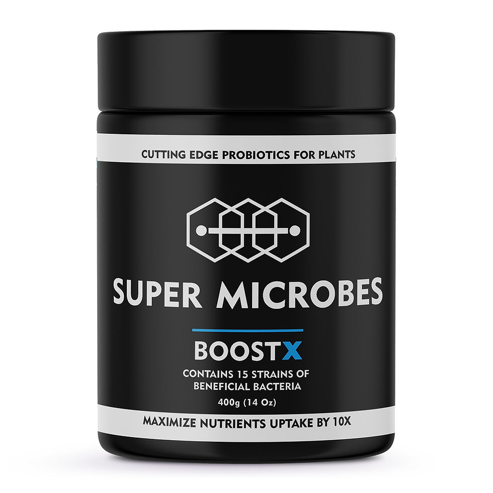 Amazon_BoostX_400g front.jpg
