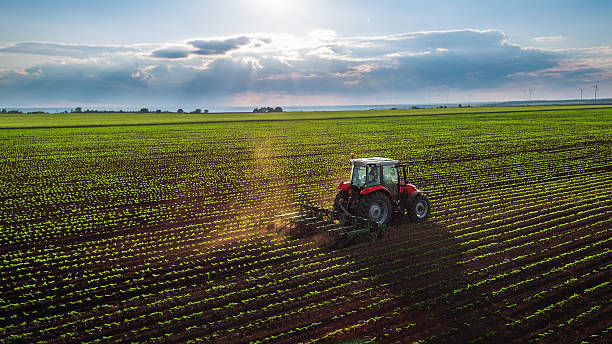 istockphoto-543212762-612x612.jpg