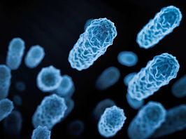 probiotics blue bg.jpg