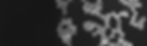 igba header_nano-fertilizers.jpg