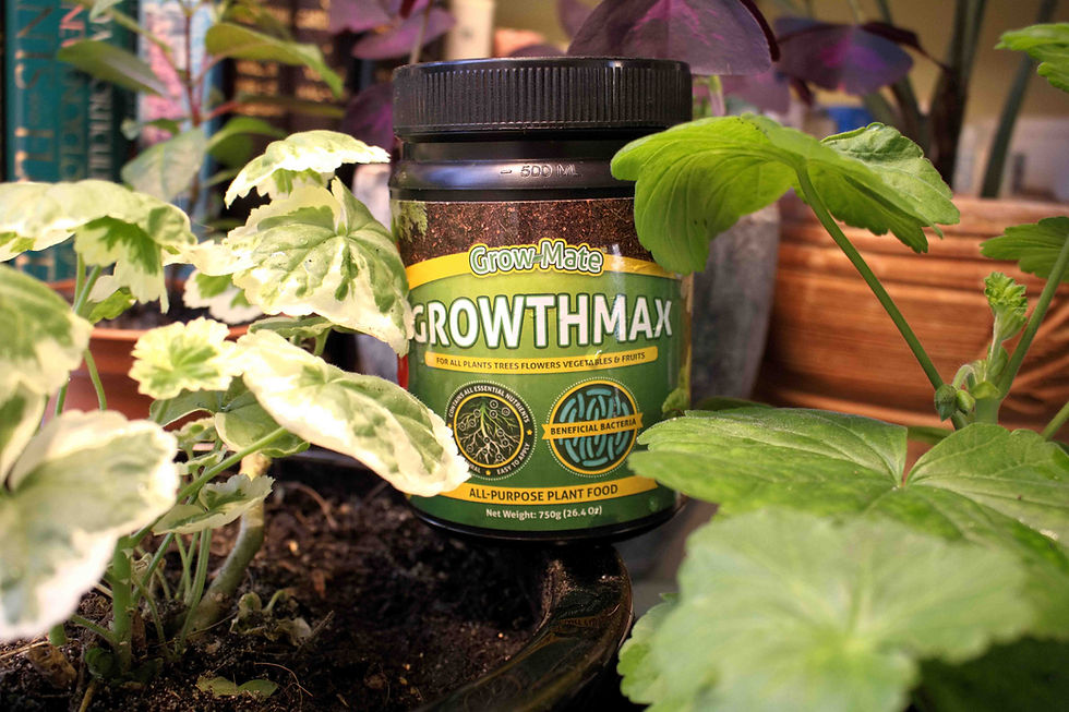 Growmate organic plant food