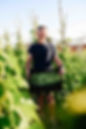 s farmer-holding-a-crate-of-fresh-green-beans-in-his-2025-01-09-18-39-03-utc.jpg