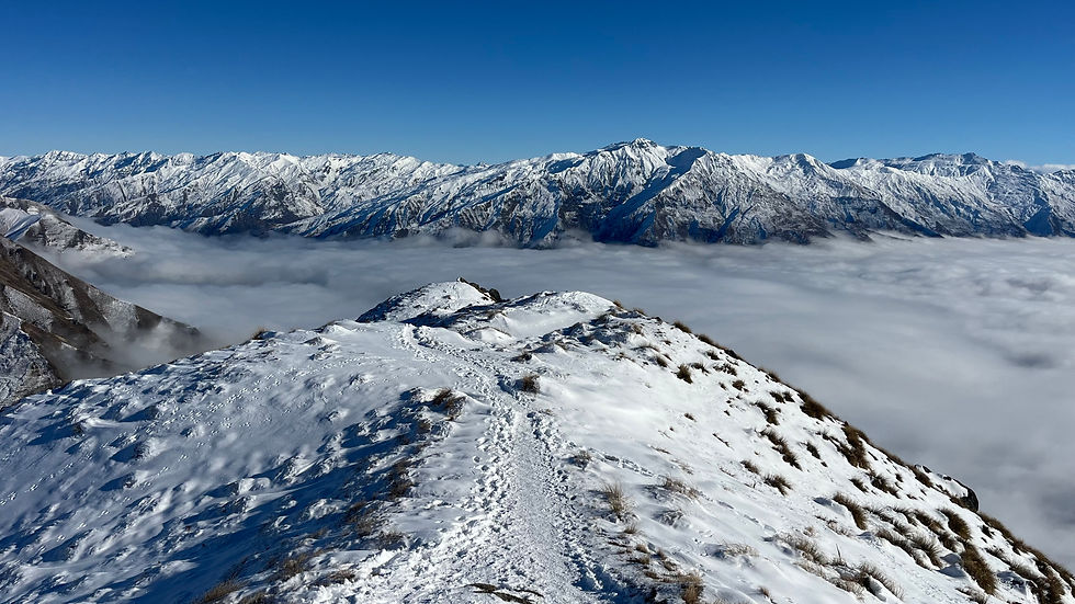 Uitzicht vanaf Roys Peak over Lake Wanaka en de omliggende bergen