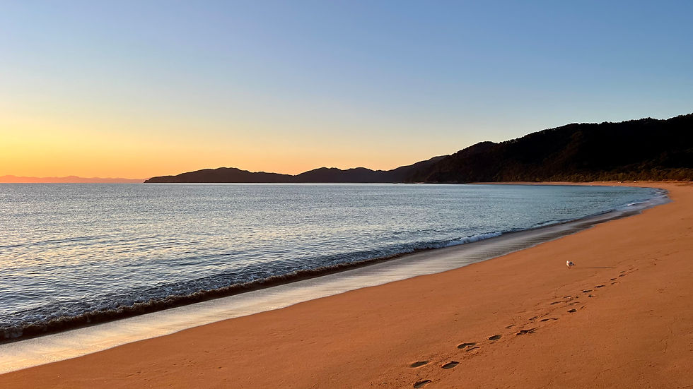 Totaranui Beach in Abel Tasman National Park