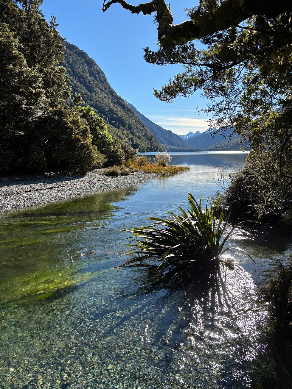Uitzicht op Eglinton River in Fiordland National Park, Nieuw-Zeeland