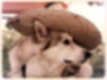 taco mascot