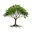 www.bakhawanph.org favicon