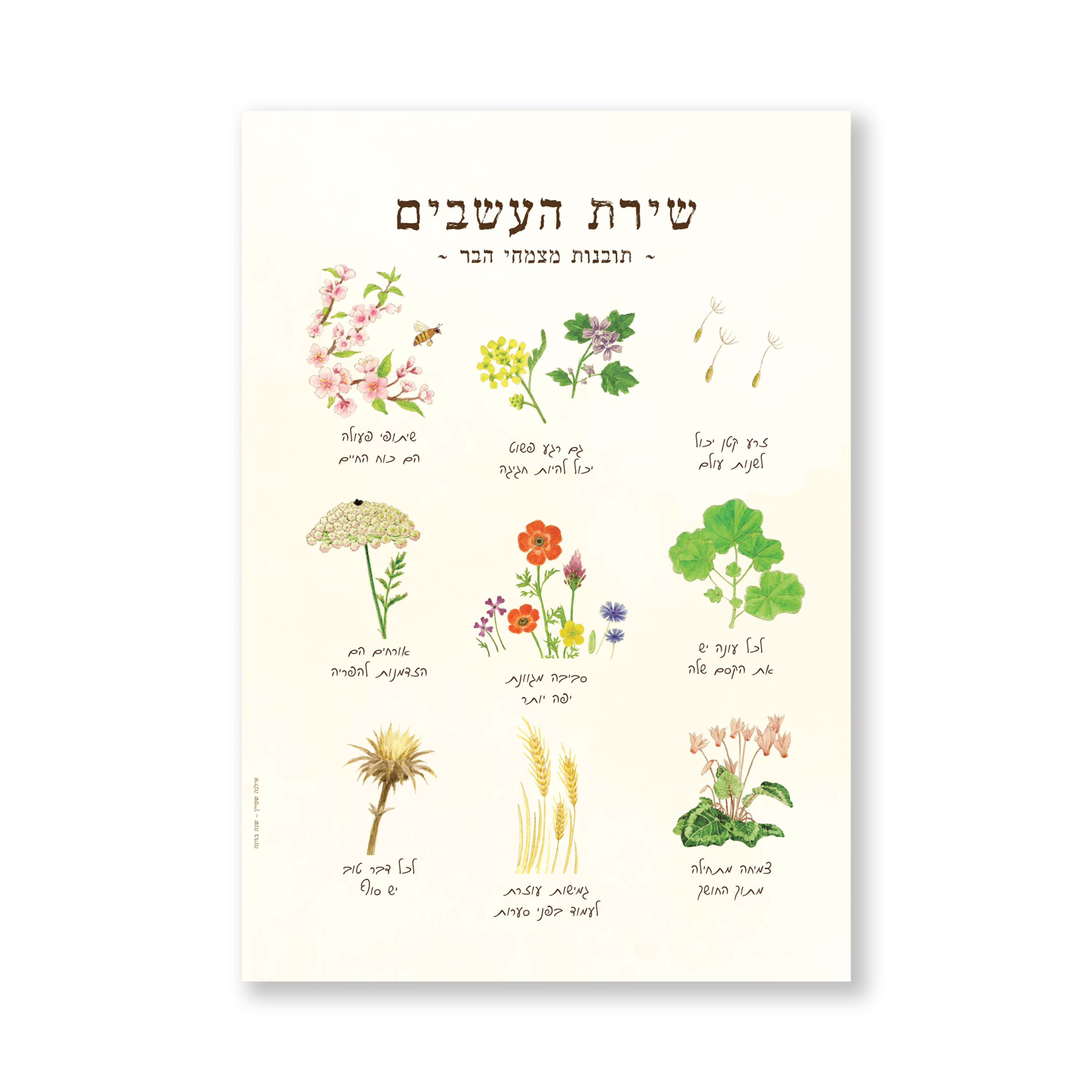 הדפס - שירת העשבים