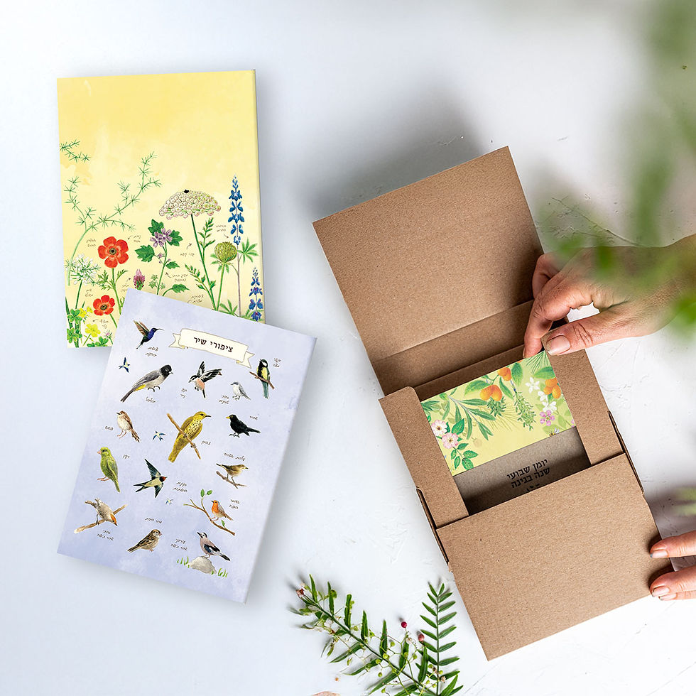 מארז שי יומן מחברות.jpg