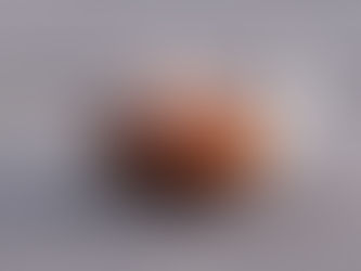 עץ גדול - זרע קטן - על גידול עצים מזרעים