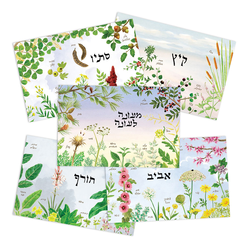 גלויות ליקוט7.jpg