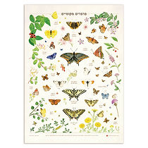 פוסטר פרפרים מוקאפ1 (1).jpg