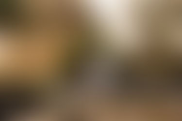 Madde & Kail Dwiar Wedding