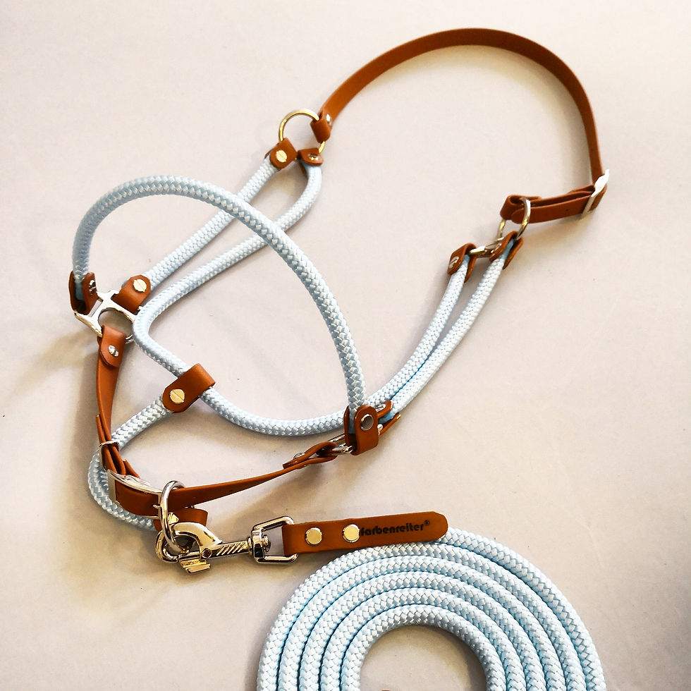 Thumbnail: Premium Halter - PLAIN