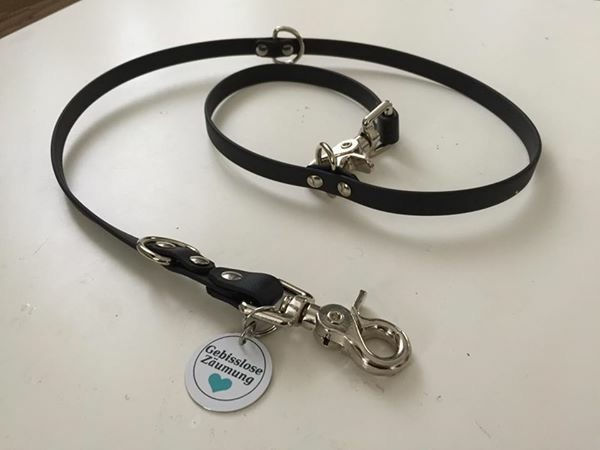 Guinzaglio per cani