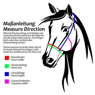 Maßanleitung.png