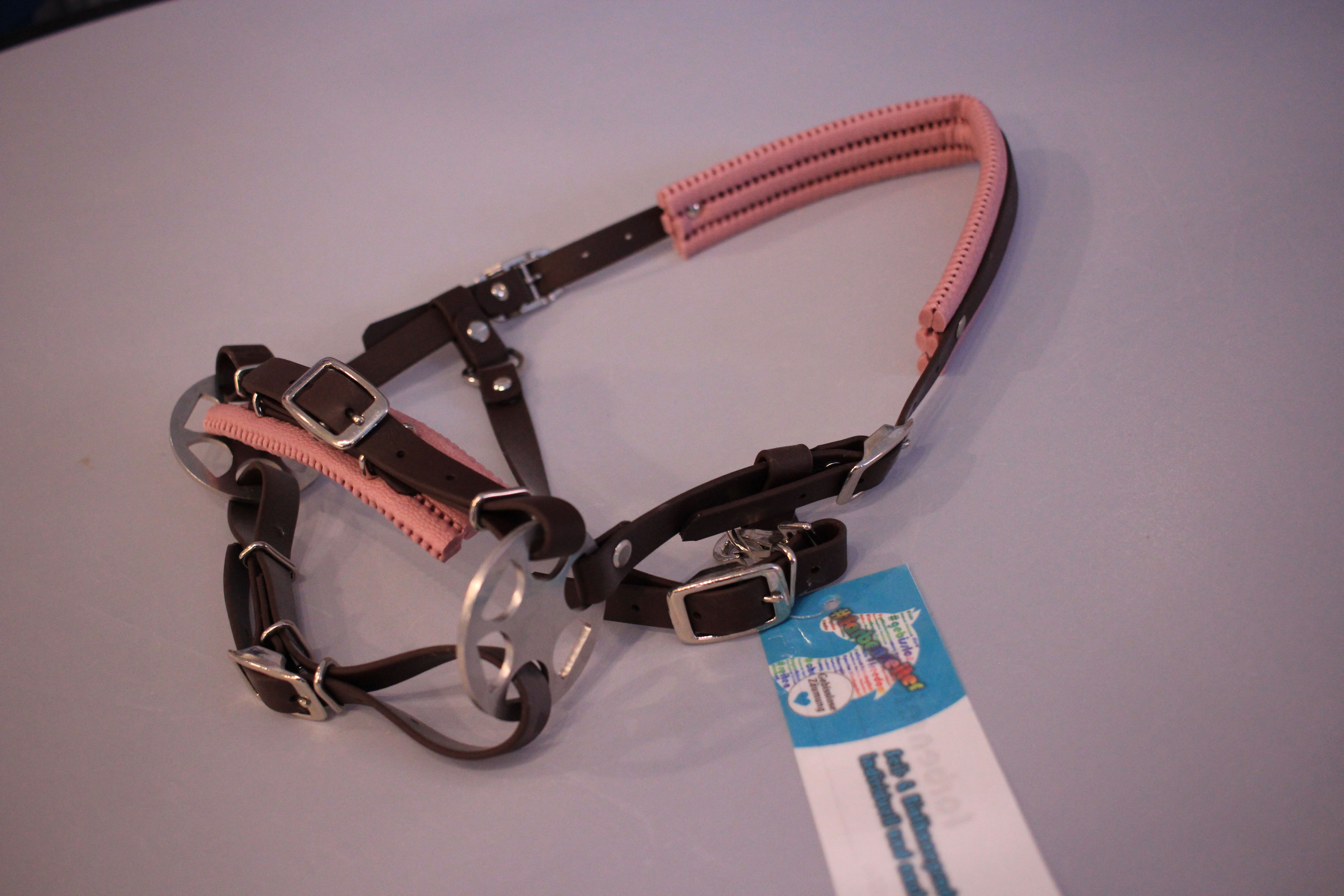 Farbenrad - Minishetty