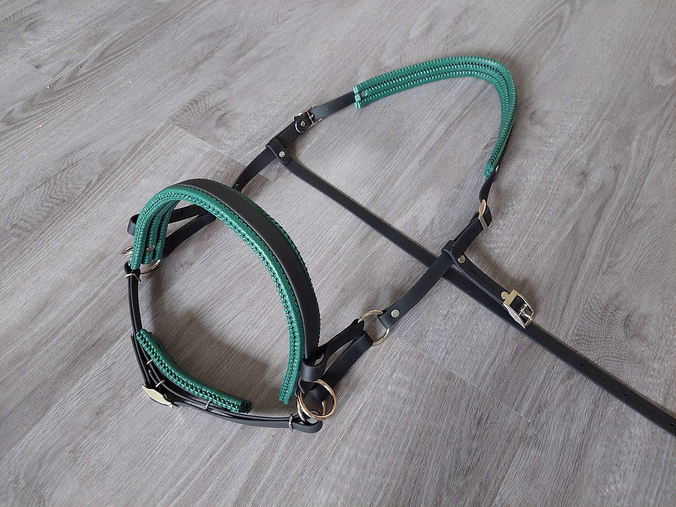 Thumbnail: Sidepull - Standard