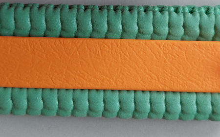 Orange_mint.jpg