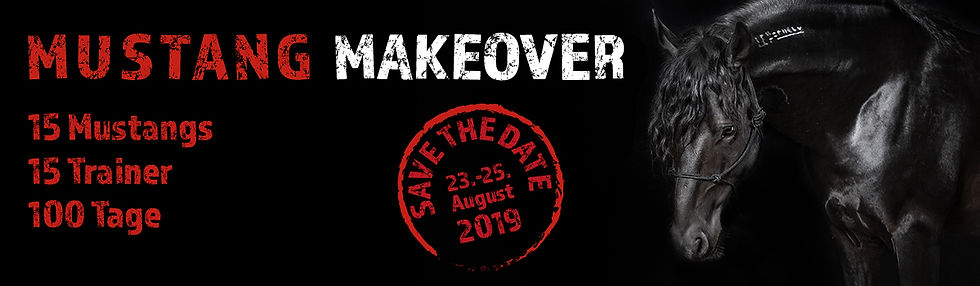 Stand Mustang Makeover 2019