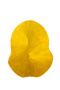 imprint#28.jpg