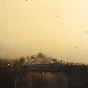 Low Horizon copy.png