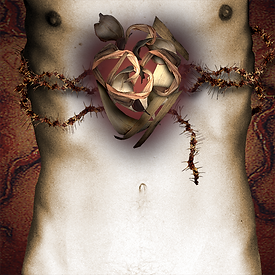 Corazon Sagrado.png